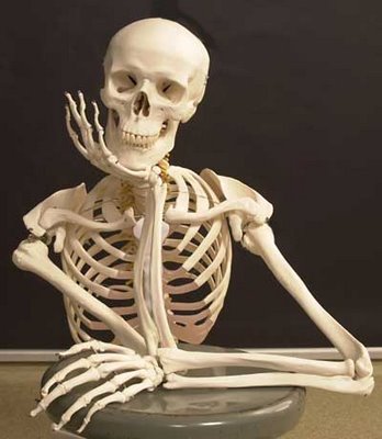esqueleto-humano.jpg
