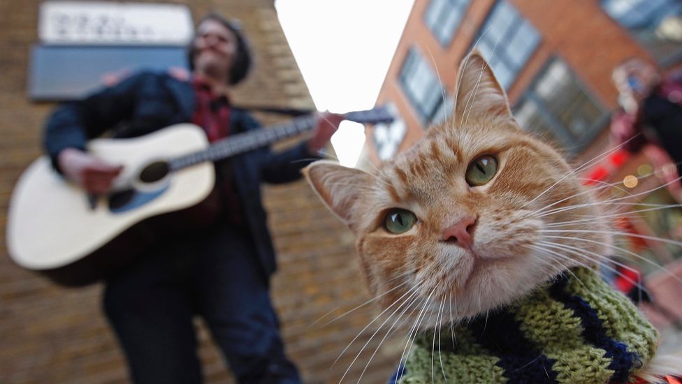 James-Bowen-e-o-gato-Bob.jpg