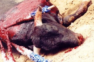 mas%252520toro%2BN%25C2%25BA%2B1%2B-%2Btoro%2Ben%2Bla%2Barena.jpg