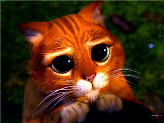466949gato+con+botas.jpg