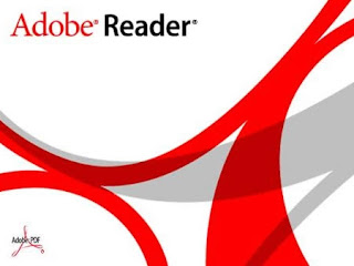 img_3109_adobe-reader_450x360.jpg