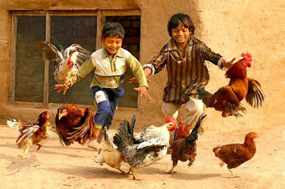 Tras+las+Gallinas.jpg
