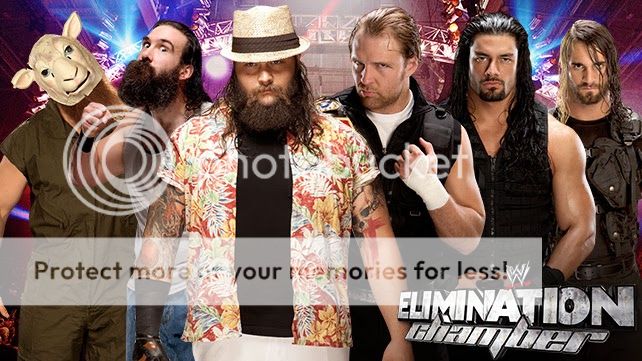 WWEEliminationChamber2014-TheWyattFamilyVSTheShield_zps189d00a1.jpg