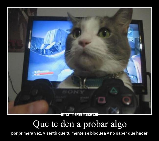 Esosnervioscuandotedanaprobaralgoporprimeravezynosabesquehacer.jpg