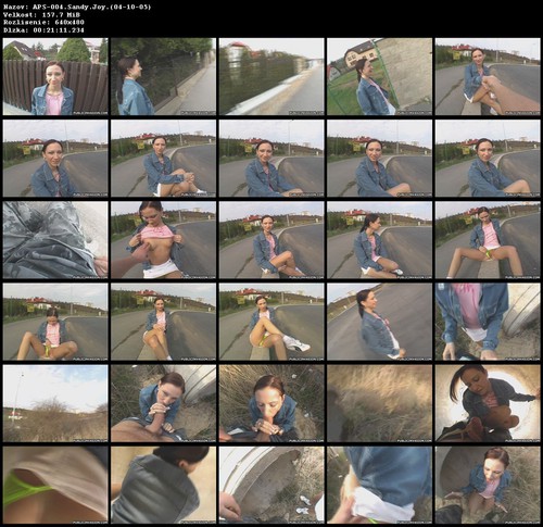 APS-004.Sandy.Joy.%2804-10-05%29.wmv_m.jpg