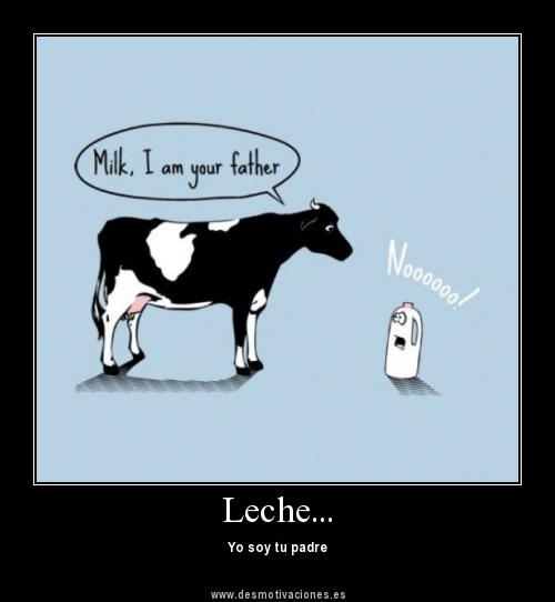 17-Desmotivaciones-para-Facebook-con-animales-graciosos.jpg