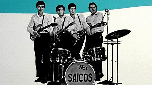 111224003838_saicos_punk_peruvian_rock_group_music_304x171_bbc_nocredit.jpg