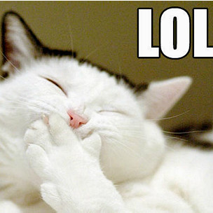 120301142216_lolcat_lolcat_promos_304x304_bbc_nocredit.jpg