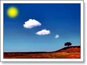 10-pensamiento-de-arbol.jpg